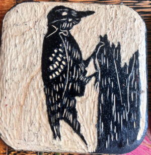 Woodpecker Coaster